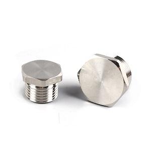 Metallic Screw Plug-Hexagon